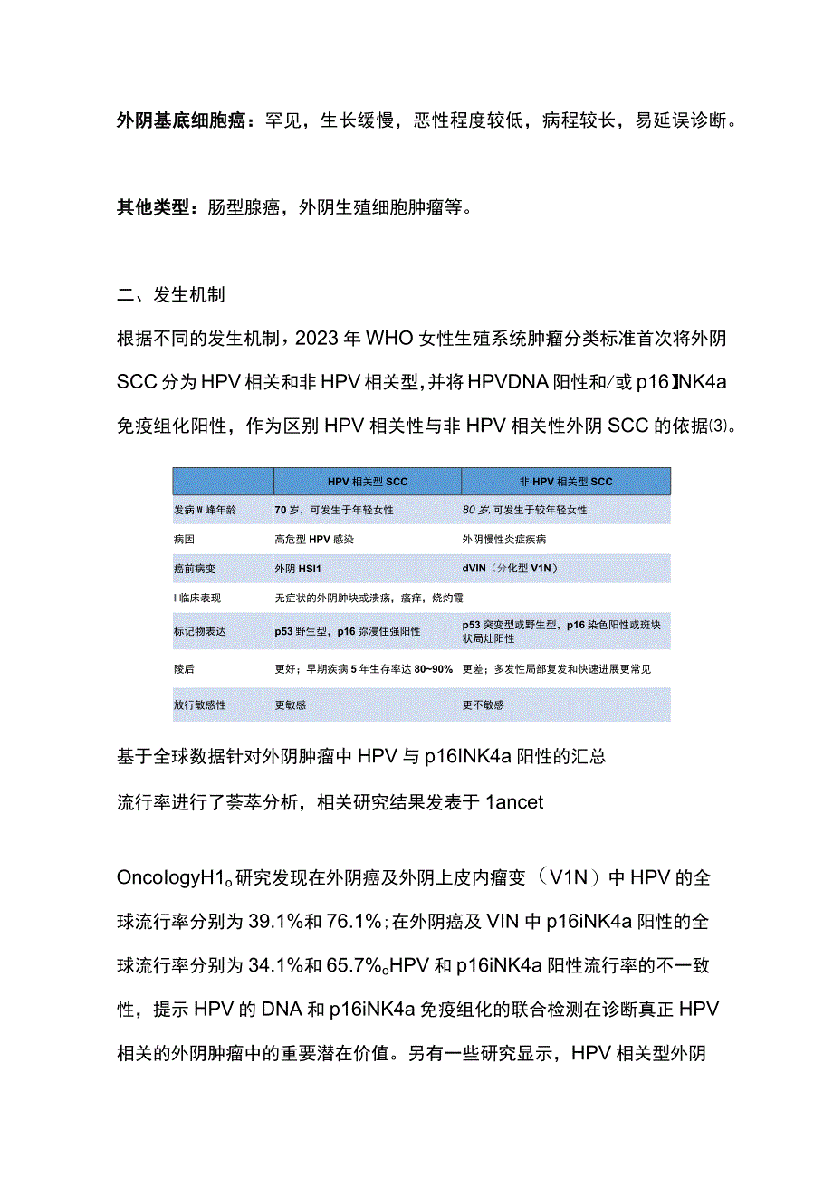 2023外阴癌的发病机制及诊治要点.docx_第2页