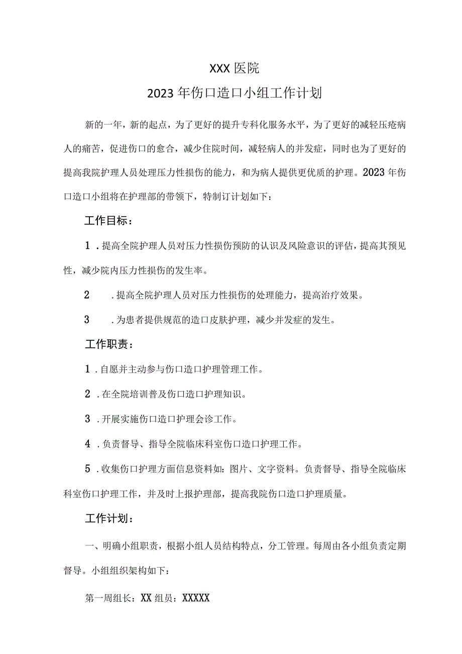 2023年伤口造口护理小组工作计划.docx_第1页