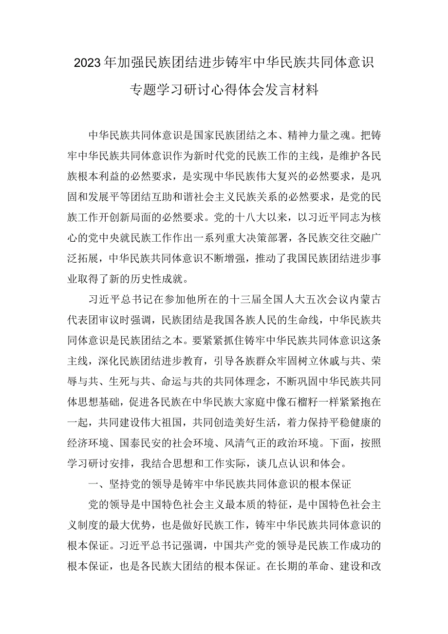 2023年加强民族团结进步铸牢中华民族共同体意识专题学习研讨心得体会发言材料3篇.docx_第1页