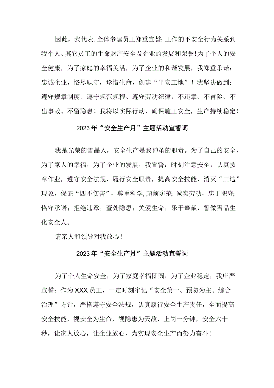 2023年乡镇安全生产月宣誓词.docx_第2页