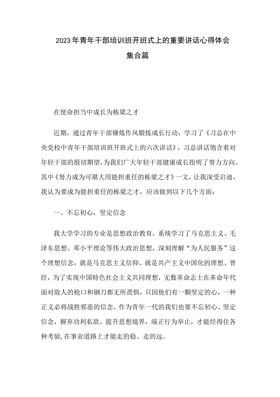 2023年青年干部培训班开班式上的重要讲话心得体会集合篇.docx_第1页