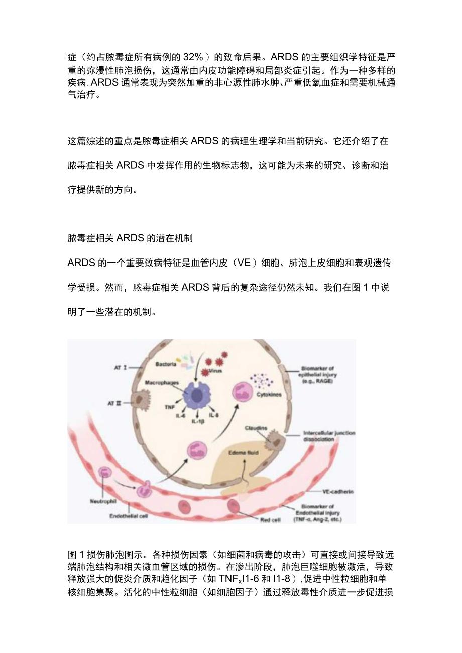 2023脓毒症相关ARDS的进展和机制.docx_第2页