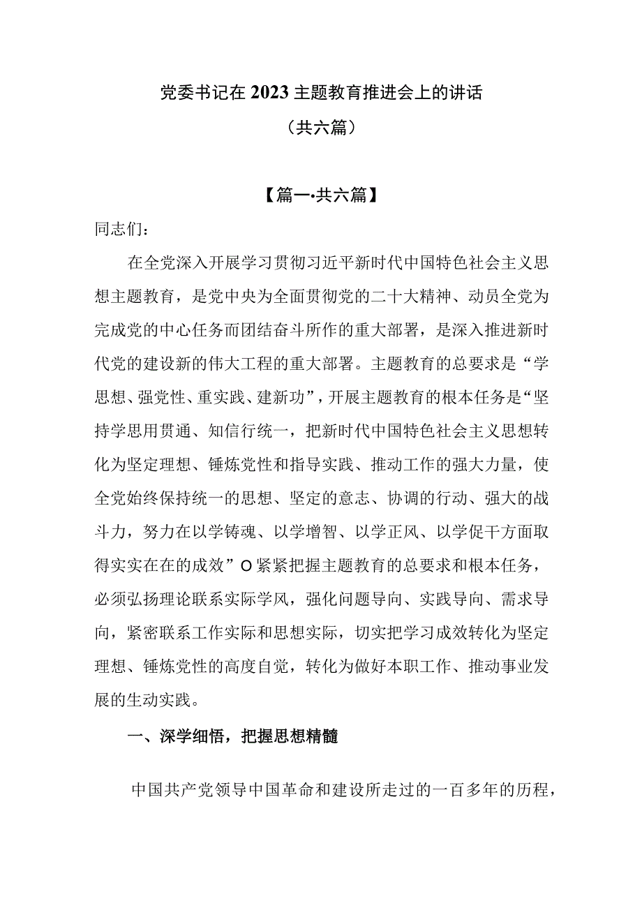 6篇党委书记在2023主题教育推进会上的讲话稿.docx_第1页