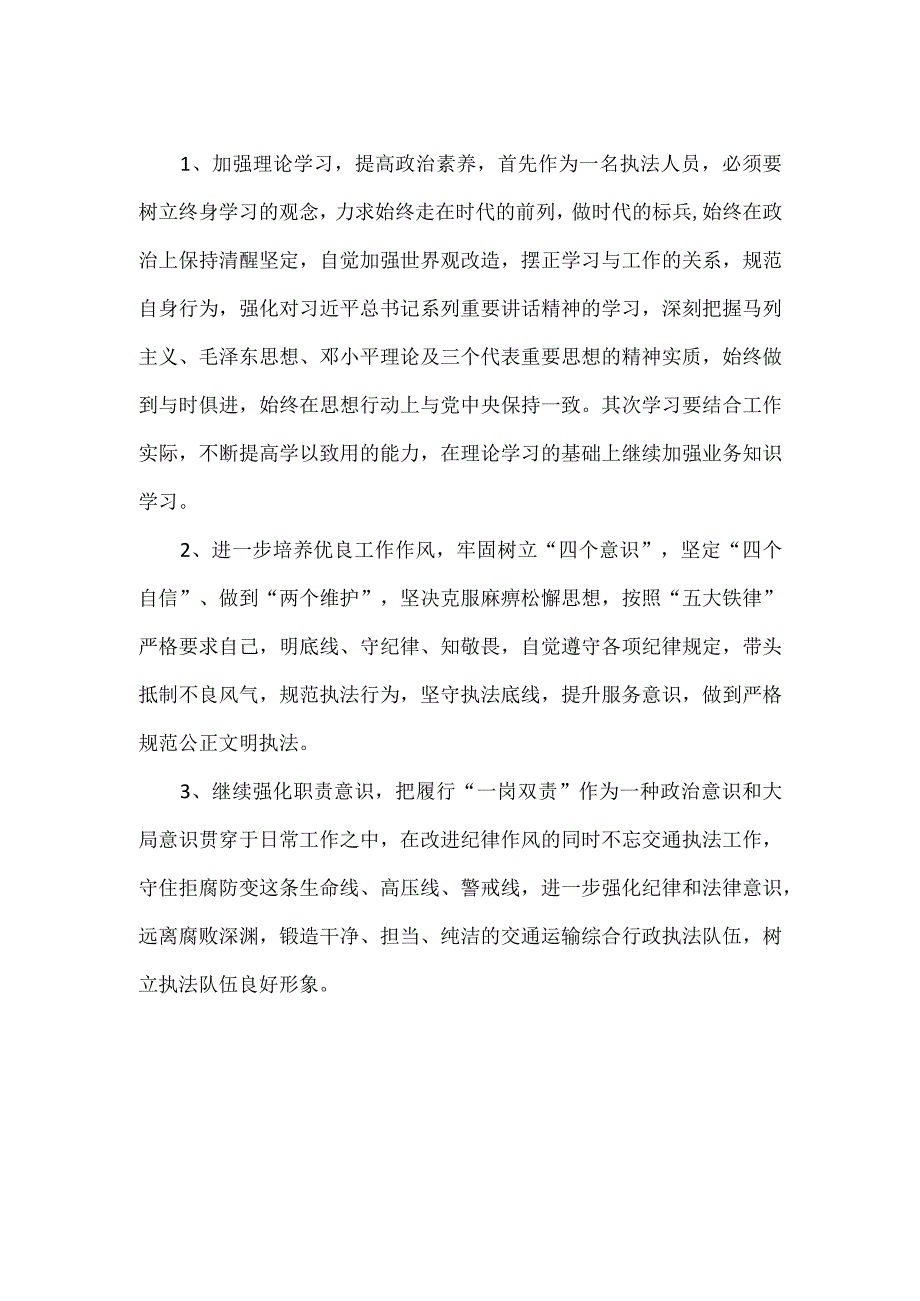 交通运输综合行政执法大队个人剖析整改情况汇报.docx_第2页