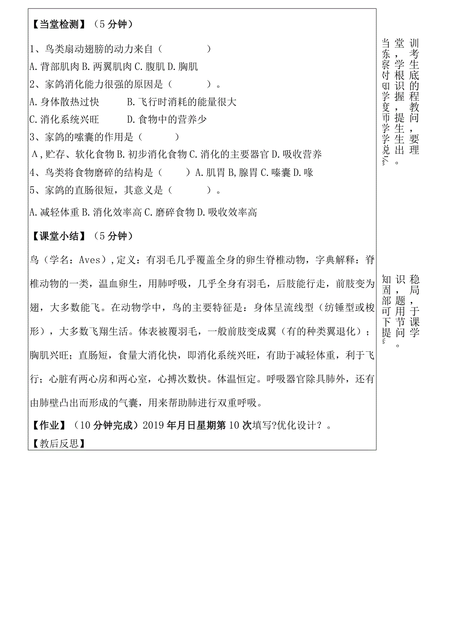 人教版八年级上册第五单元第一章第六节鸟导学案无答案.docx_第3页