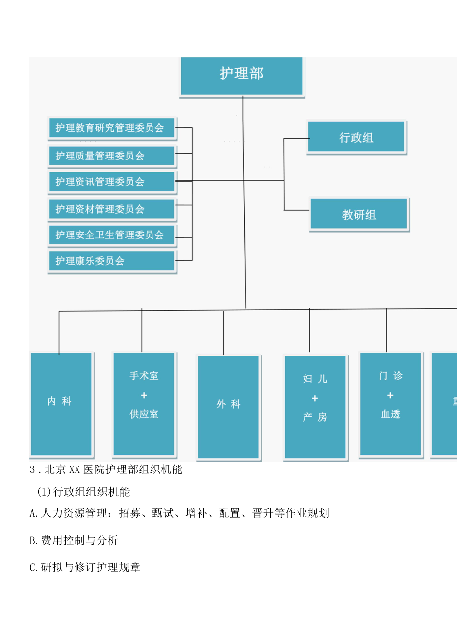 医院护理部组织章程与组织架构图.docx_第3页