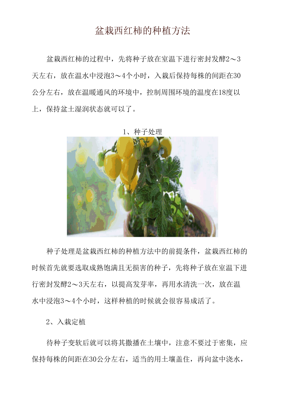 盆栽西红柿的种植方法.docx_第1页