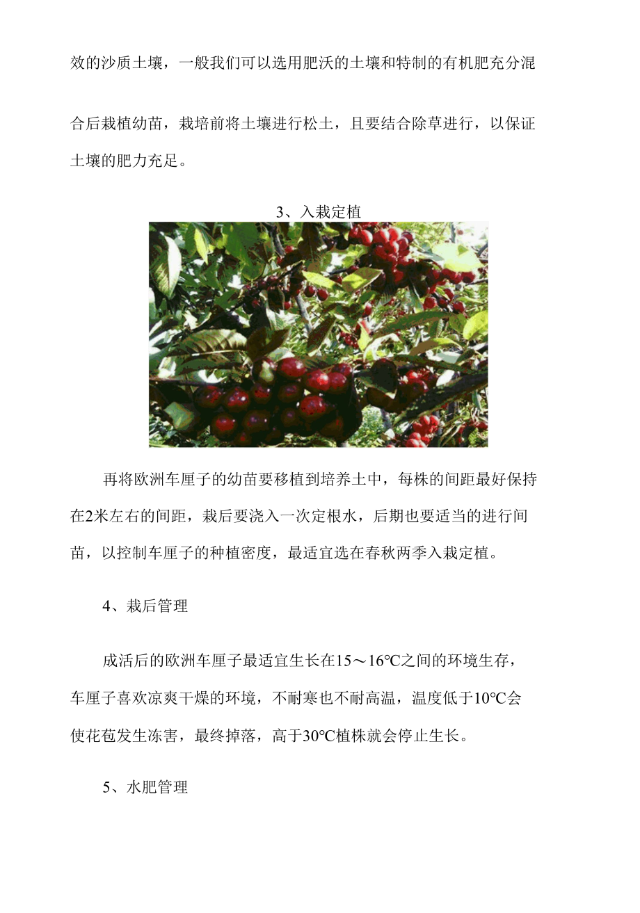 欧洲车厘子种植技术.docx_第2页