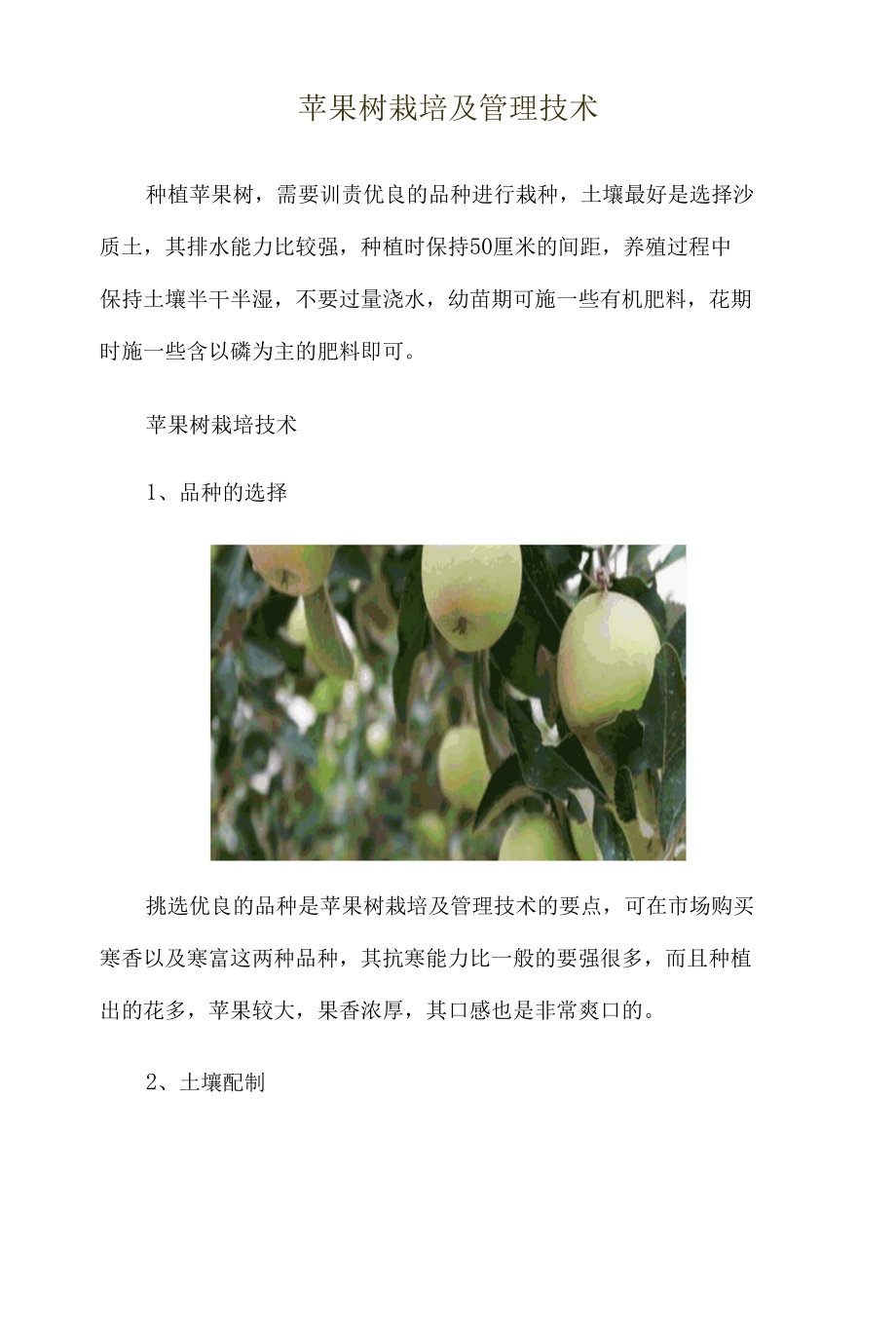 苹果树栽培及管理技术.docx_第1页