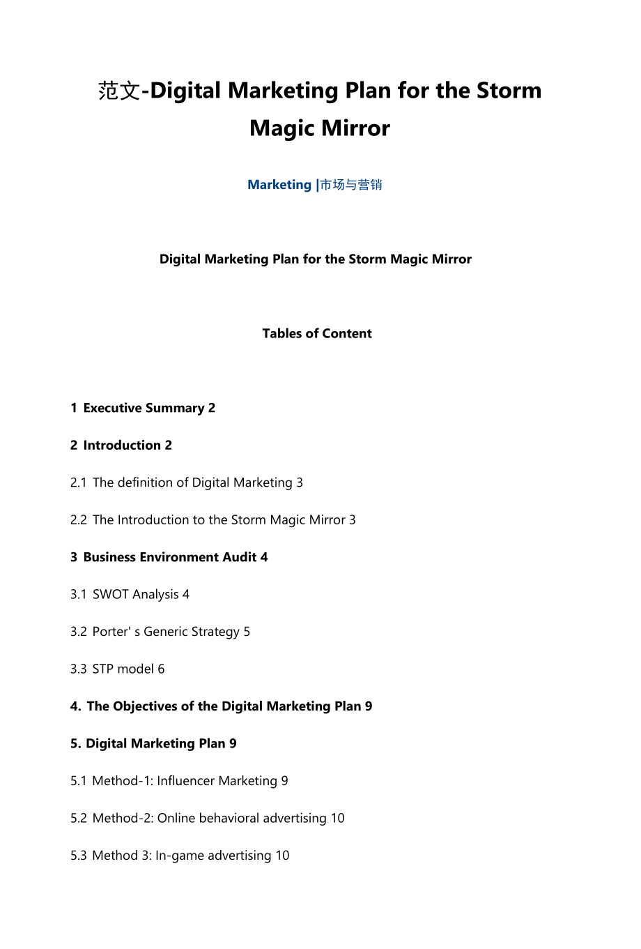 范文-Digital Marketing Plan for the Storm Magic Mirror.docx_第1页