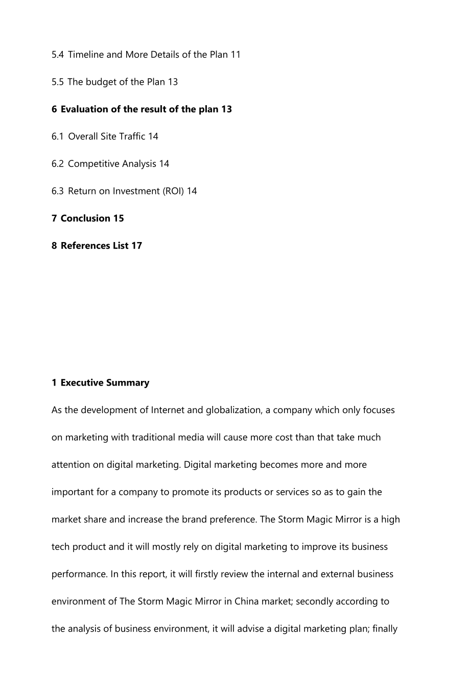 范文-Digital Marketing Plan for the Storm Magic Mirror.docx_第2页