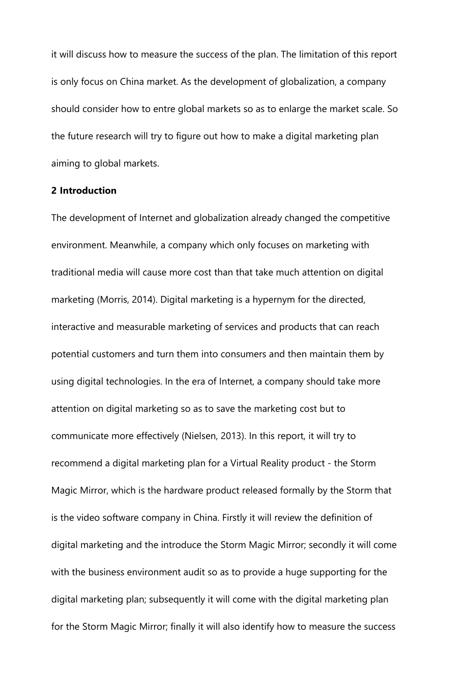 范文-Digital Marketing Plan for the Storm Magic Mirror.docx_第3页