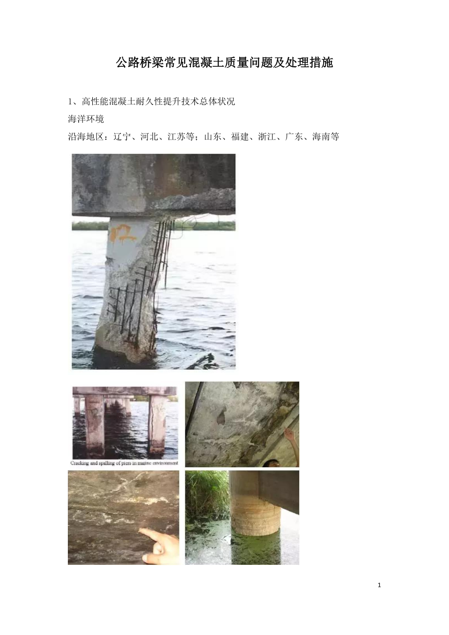 公路桥梁常见混凝土质量问题及处理措施.doc_第1页