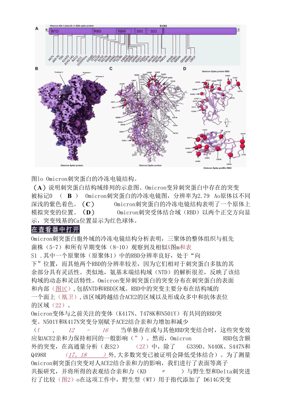 SARS-CoV-2 Omicron 变体：刺突蛋白-ACE2 复合物的抗体逃避和冷冻电镜结构.docx_第2页