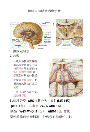 侧脑室脑膜瘤影像诊断.docx