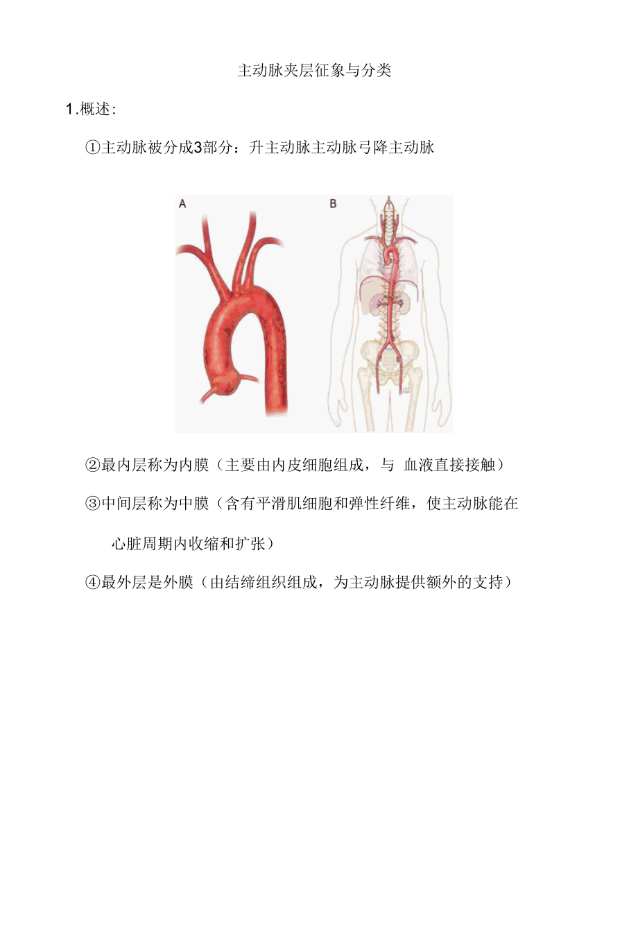 主动脉夹层.docx_第1页