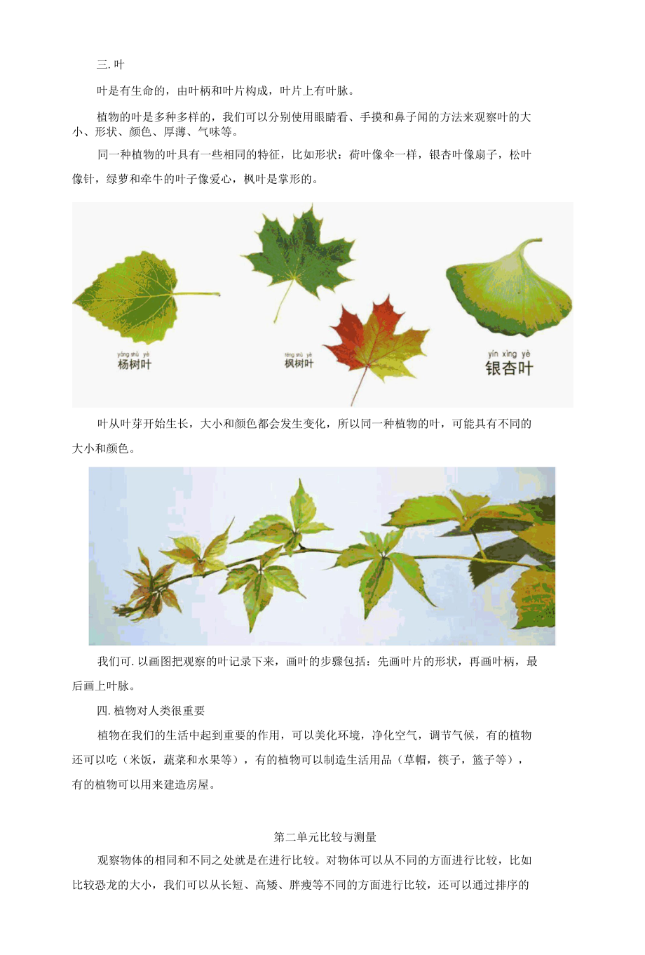 教科版小学一年级上学期期末考试科学试卷与答案（含知识点整理）.docx_第2页