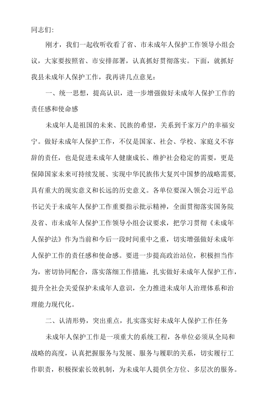 在全县未成年人保护工作领导小组会议上的讲话.docx_第2页