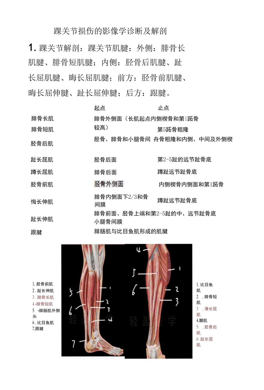 踝关节损伤的影像学诊断及踝关节韧带解剖.docx_第1页