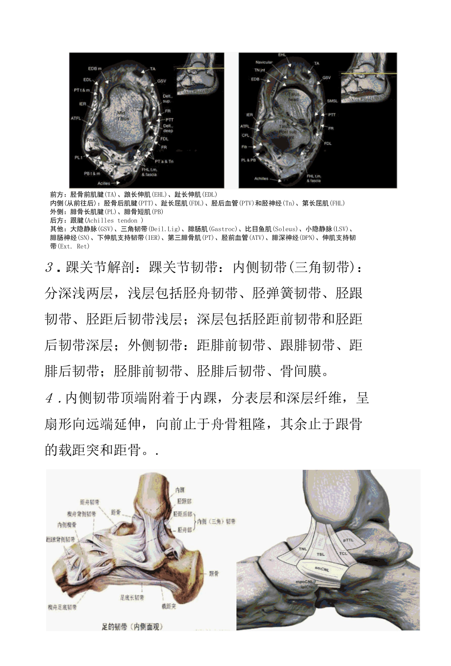 踝关节损伤的影像学诊断及踝关节韧带解剖.docx_第3页