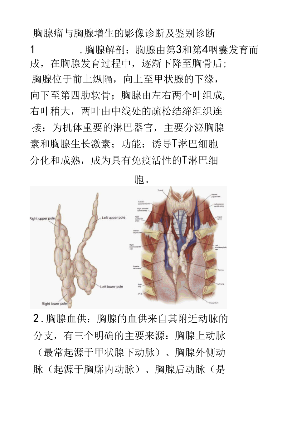 胸腺增生与胸腺瘤的影像诊断及鉴别诊断.docx_第1页