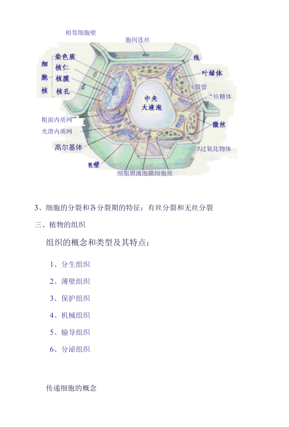 植物学总结资料.docx_第2页