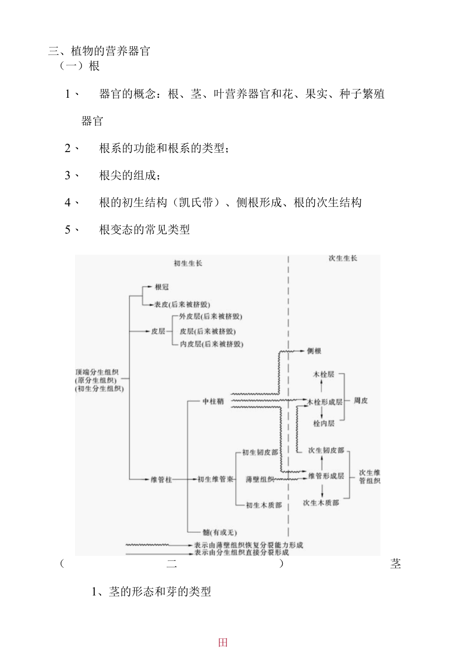 植物学总结资料.docx_第3页