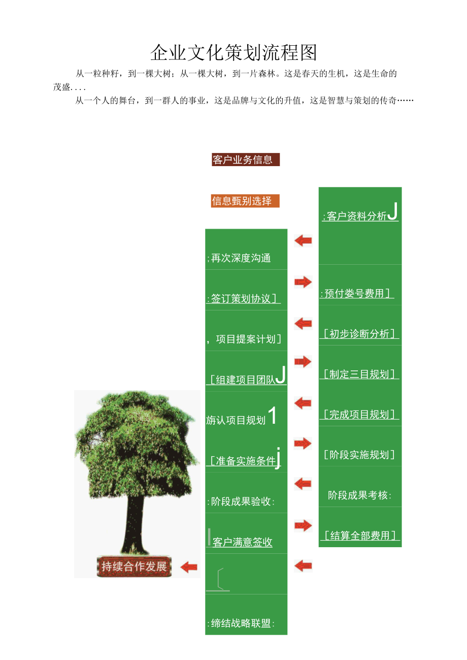 企业文化策划流程图与企业经济效益雷达图.docx_第1页