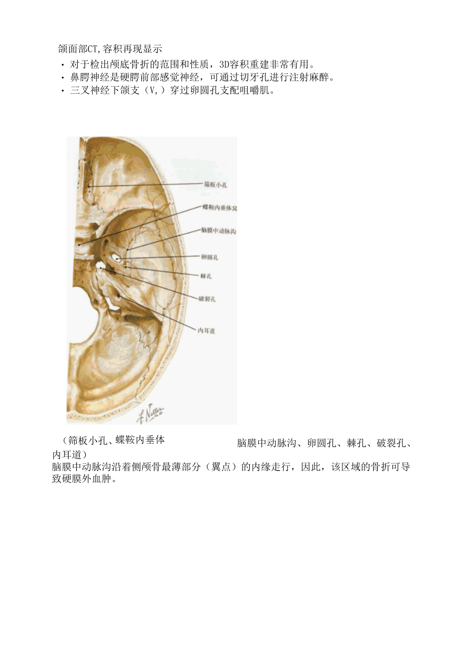 颅骨解剖及CT三维重建.docx_第2页