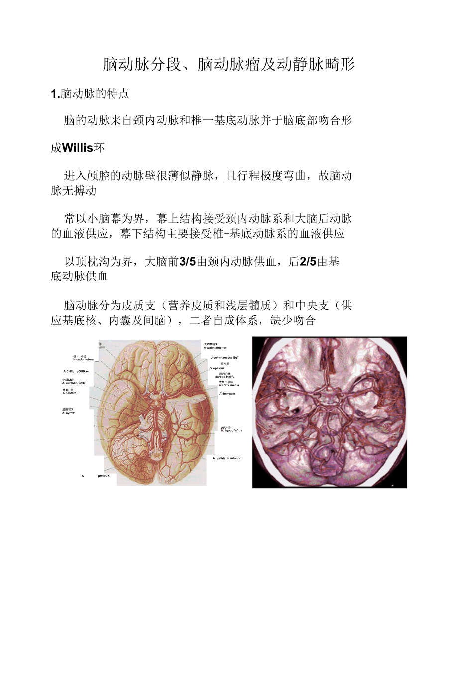 脑动脉影像学解剖.docx_第1页