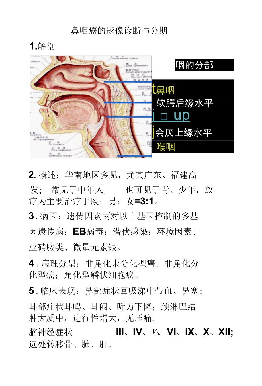 鼻咽癌影像诊断.docx_第1页