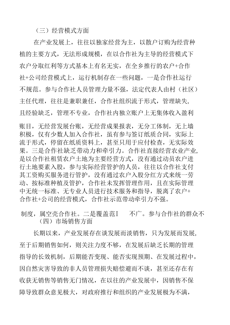 乡镇农业产业发展现状及建议.docx_第3页