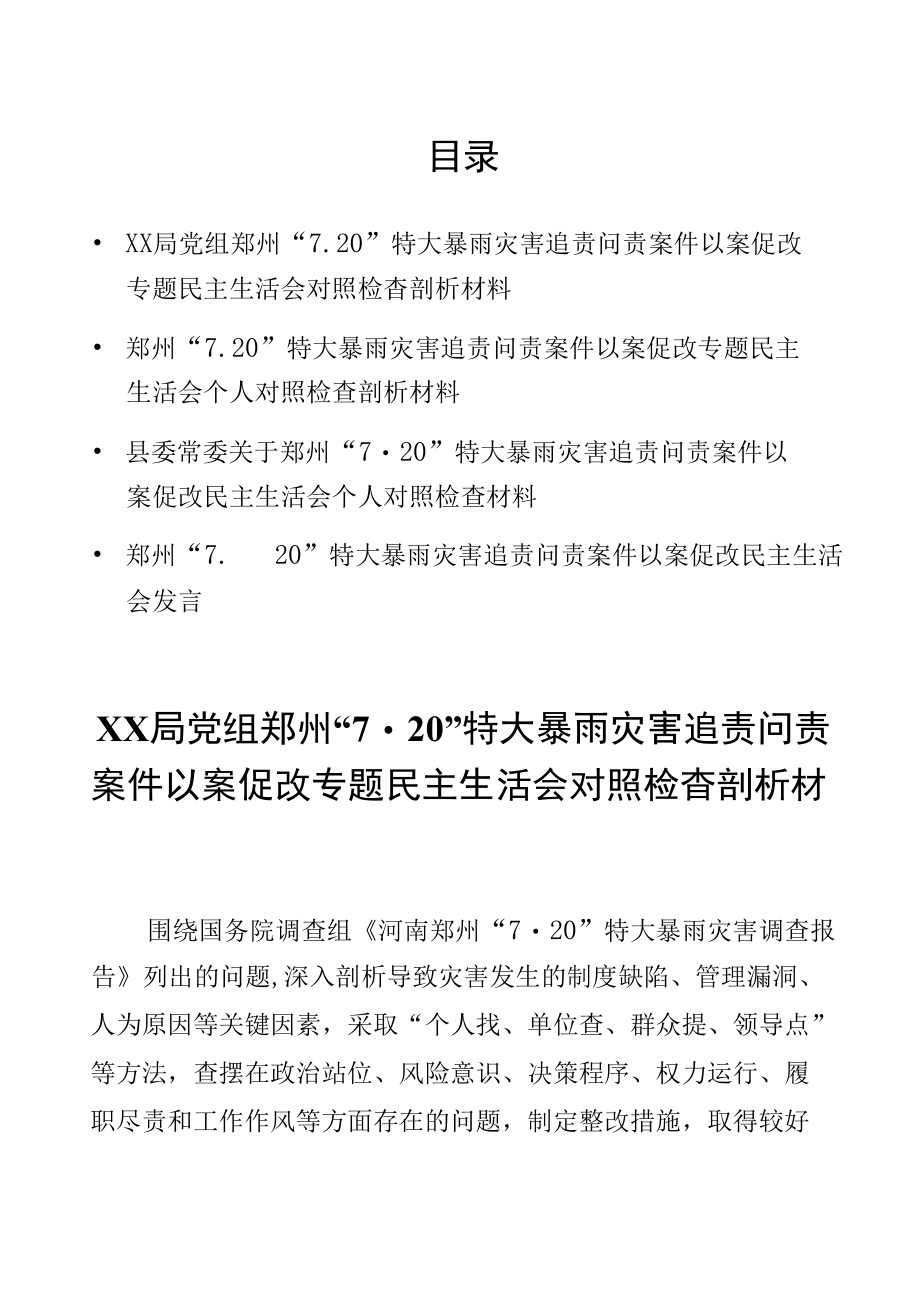 党组在郑州特大暴雨灾害追责问责案件以案促改剖析发言材料4篇.docx_第1页