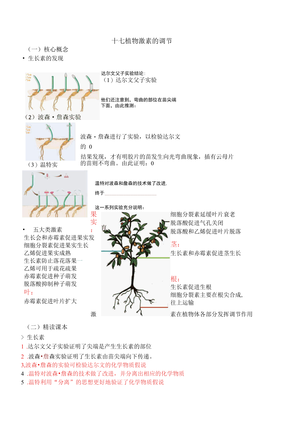 1.植物激素调节公开课.docx_第1页