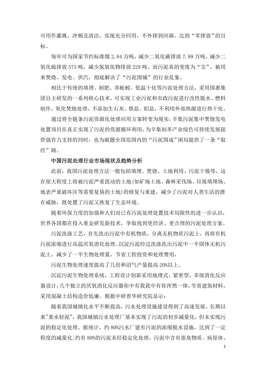 污泥焚烧发电技术详解.doc_第2页