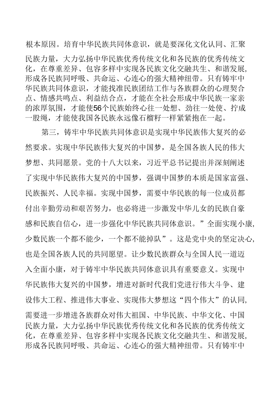 2022年书记讲党课《铸牢中华民族共同体意识》.docx_第1页