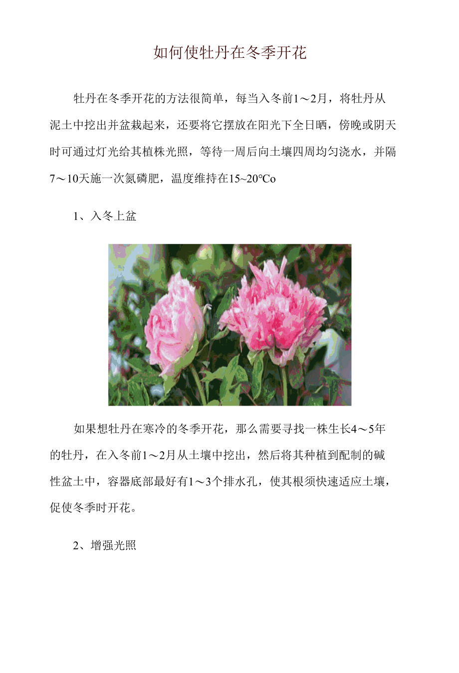 如何使牡丹在冬季开花.docx_第1页