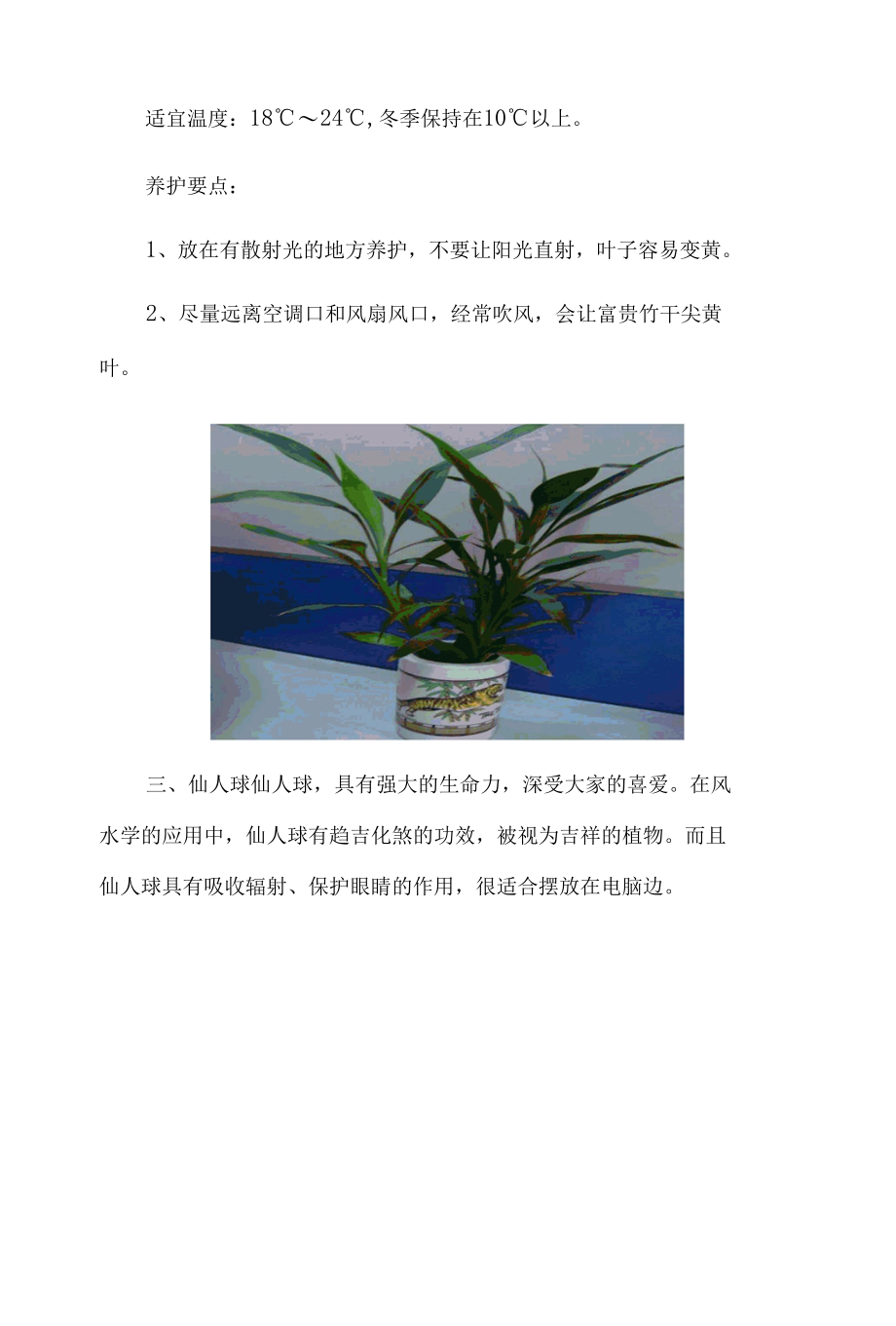 最适合在办公室养的10种植物.docx_第3页