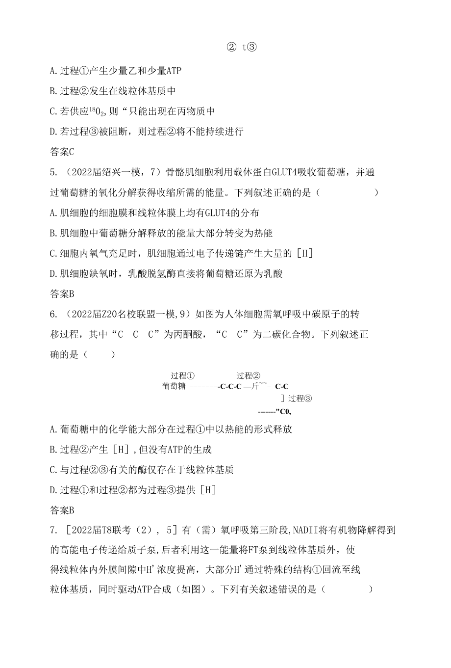 2023届一轮复习浙科版细胞呼吸作业.docx_第2页