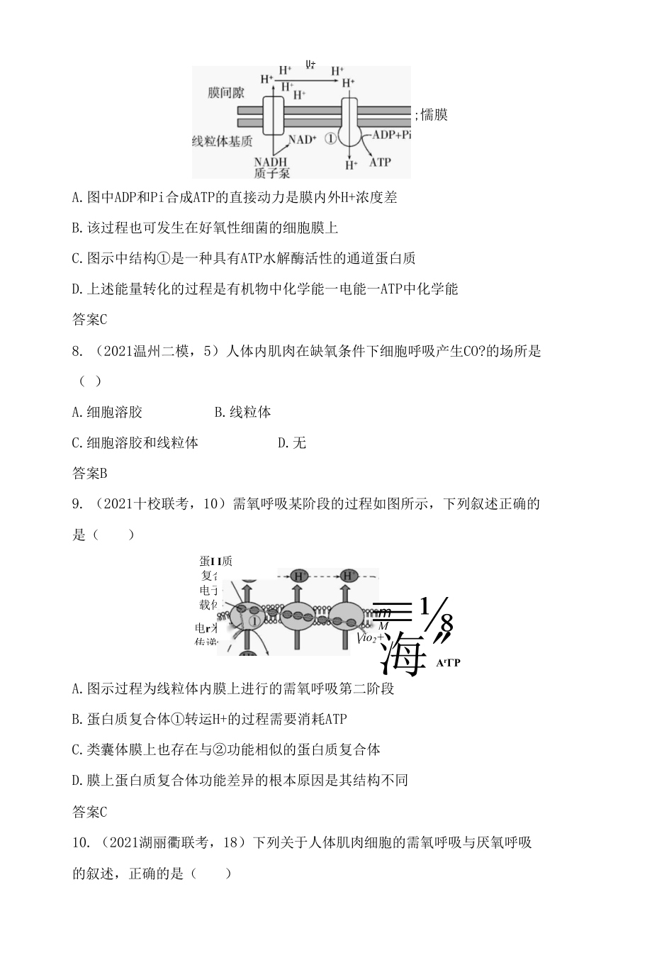 2023届一轮复习浙科版细胞呼吸作业.docx_第3页