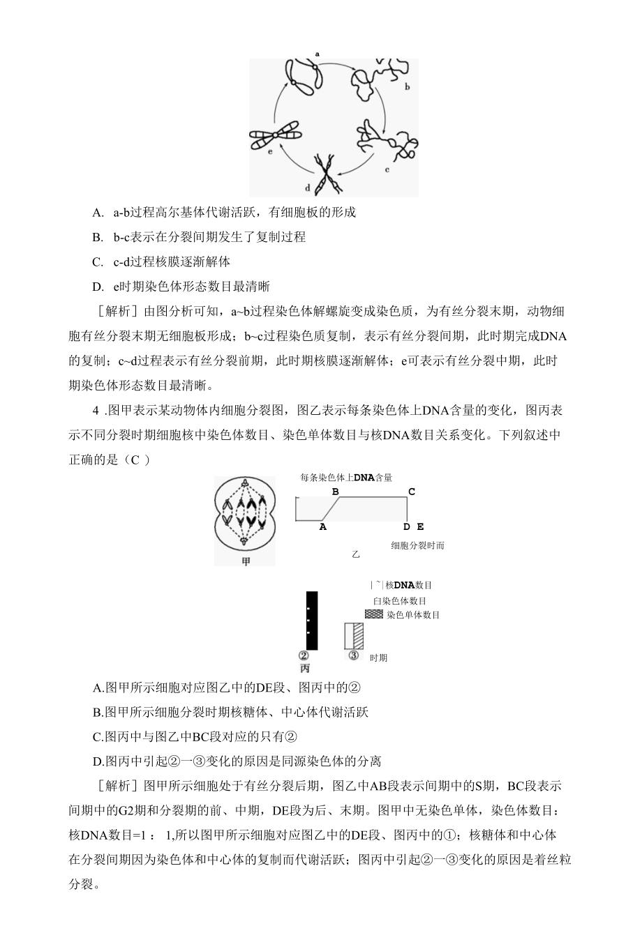 2023届一轮复习人教版细胞的增殖作业.docx_第3页