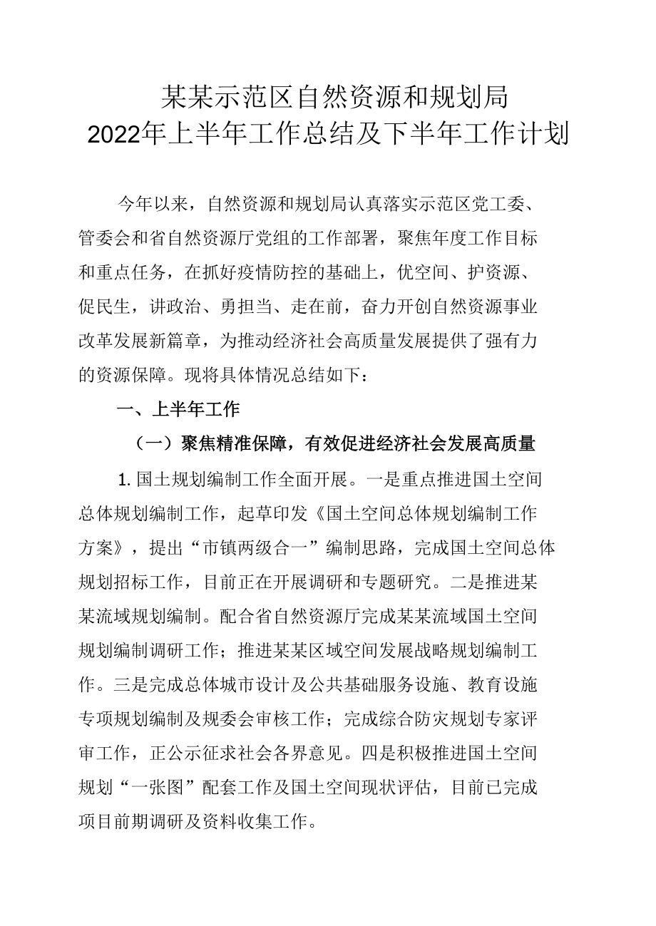 某某示范区自然资源和规划局2022年上半年工作总结及下半年工作计划.docx_第1页