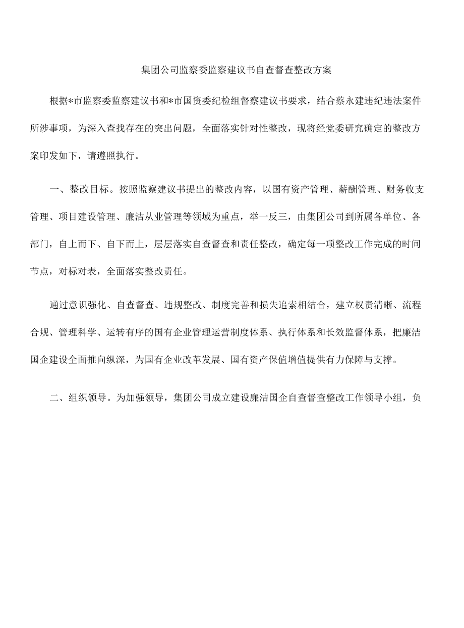 集团公司监察委监察建议书自查督查整改方案.docx_第1页