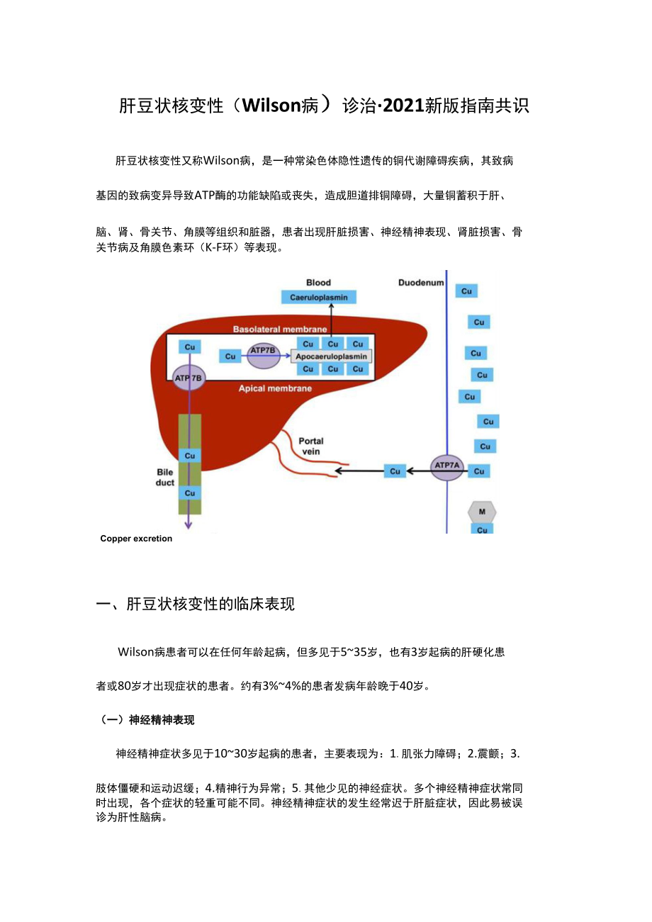 肝豆状核变性（Wilson病）诊治-2021新版指南共识.docx_第1页