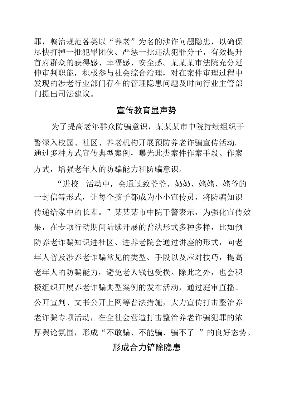 某某市法院打击整治养老诈骗专项行动工作总结.docx_第2页