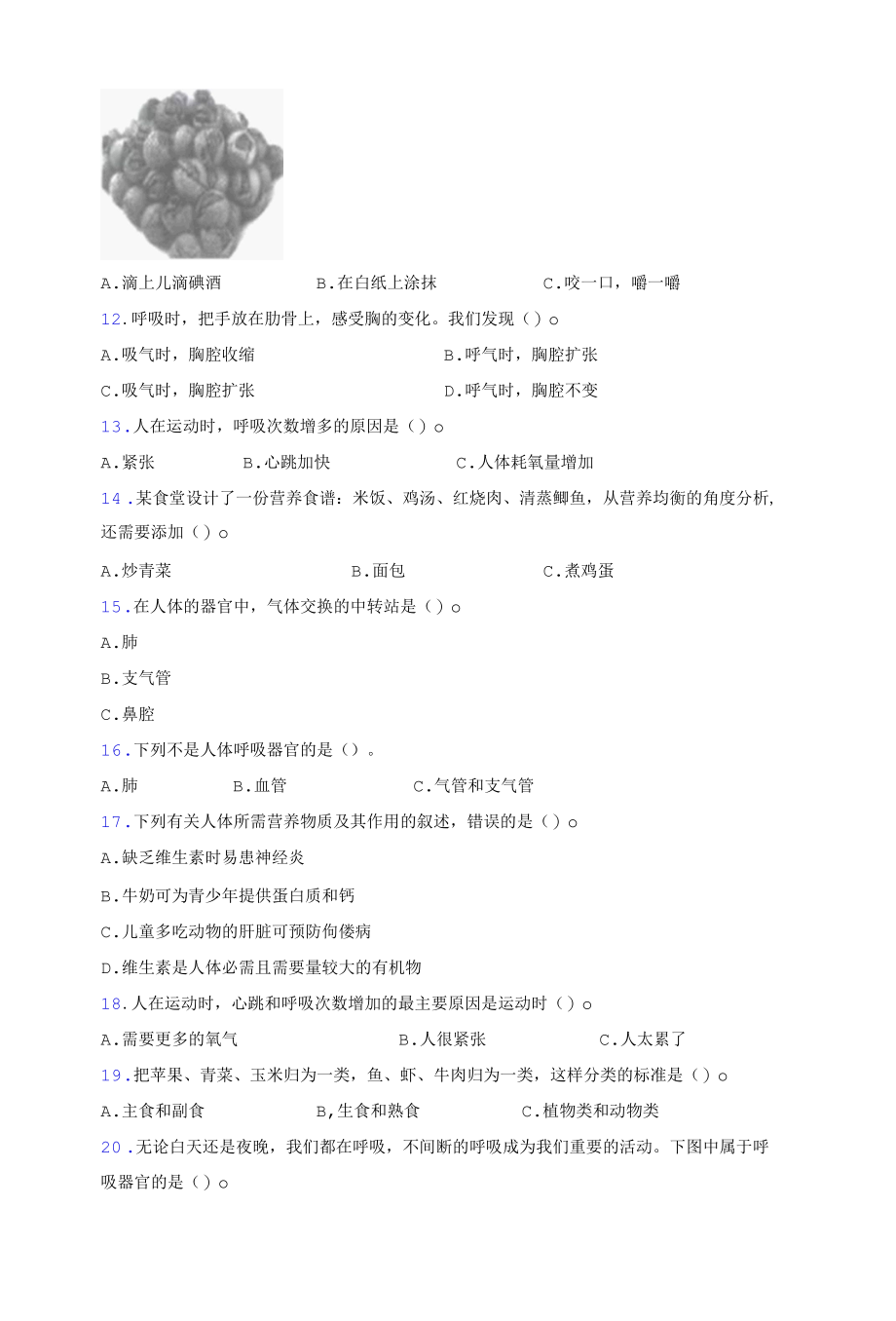 2022四年级上册科学《呼吸与消化》单元练习.docx_第2页