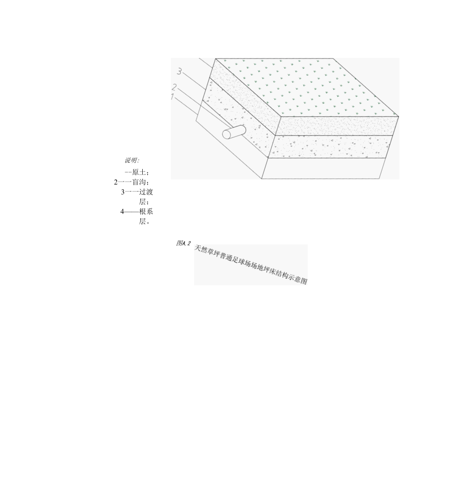 天然草坪足球场推荐坪床结构、根系层用沙粒径推荐、常见病虫害种类及特征.docx_第2页
