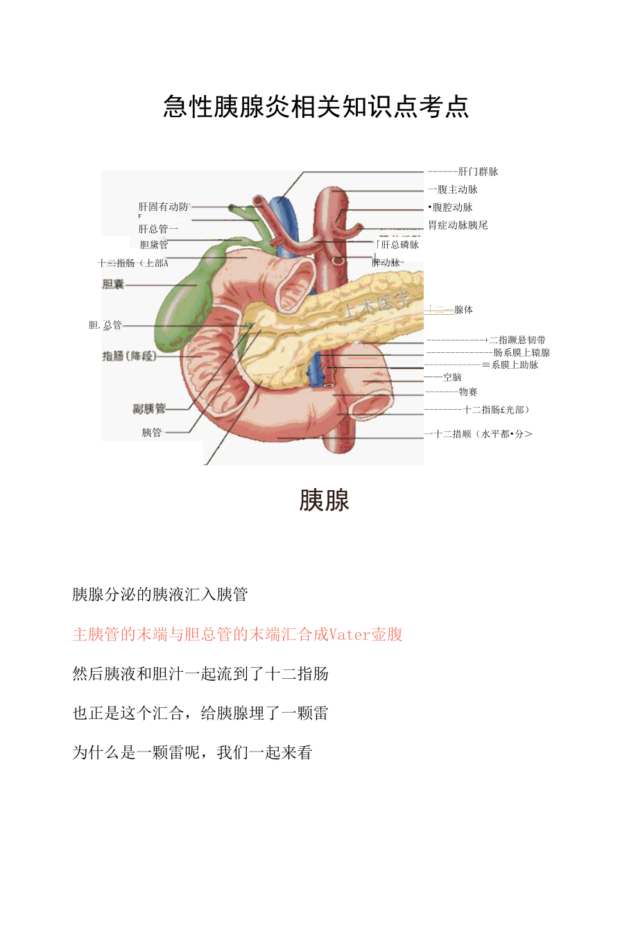 急性胰腺炎相关知识点考点.docx_第1页