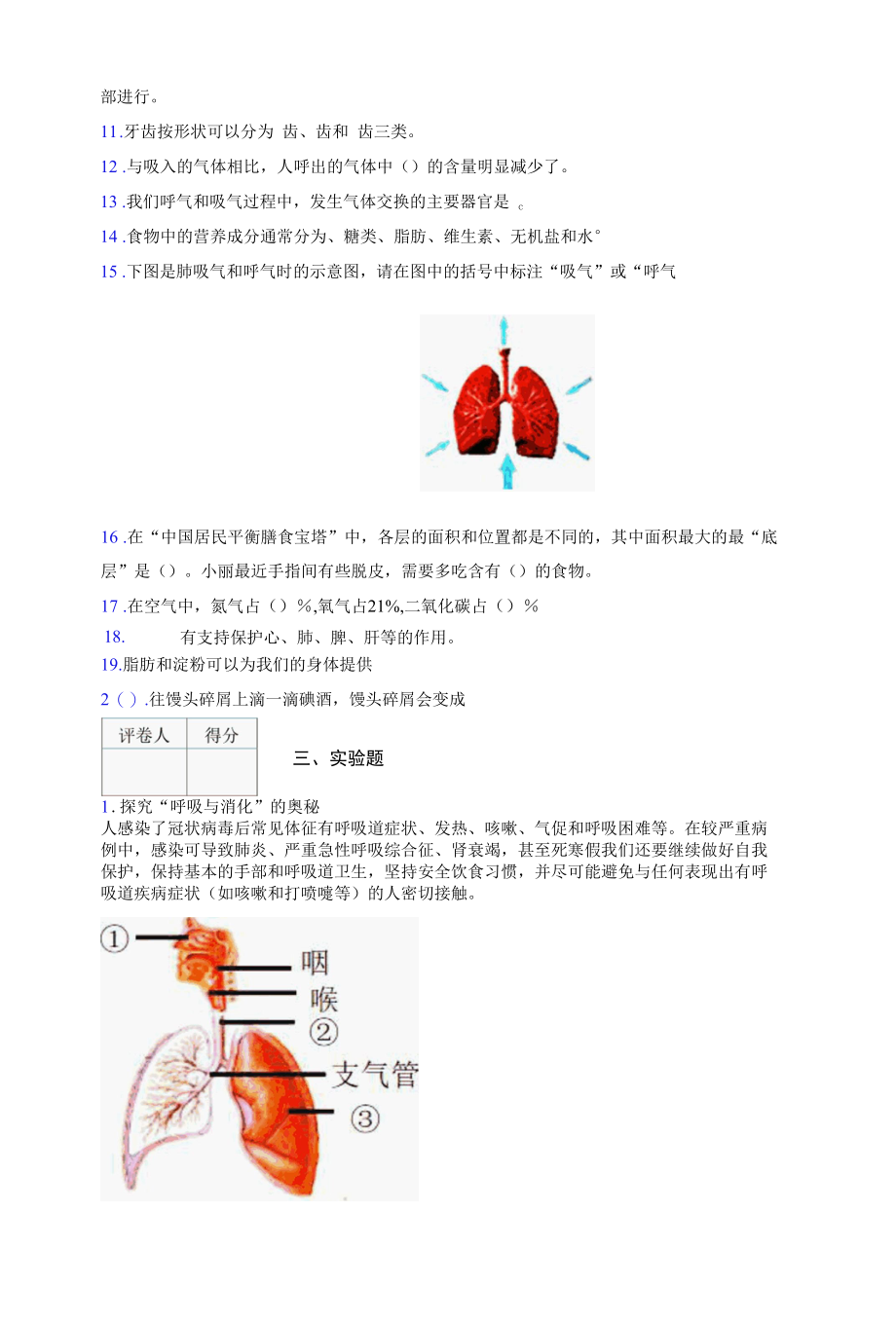 小学四年级（上）科学期末专项测试《呼吸与消化》练习卷.docx_第3页