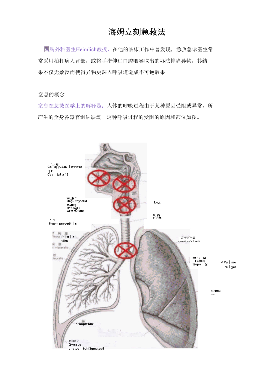 海姆立刻急救法.docx_第1页